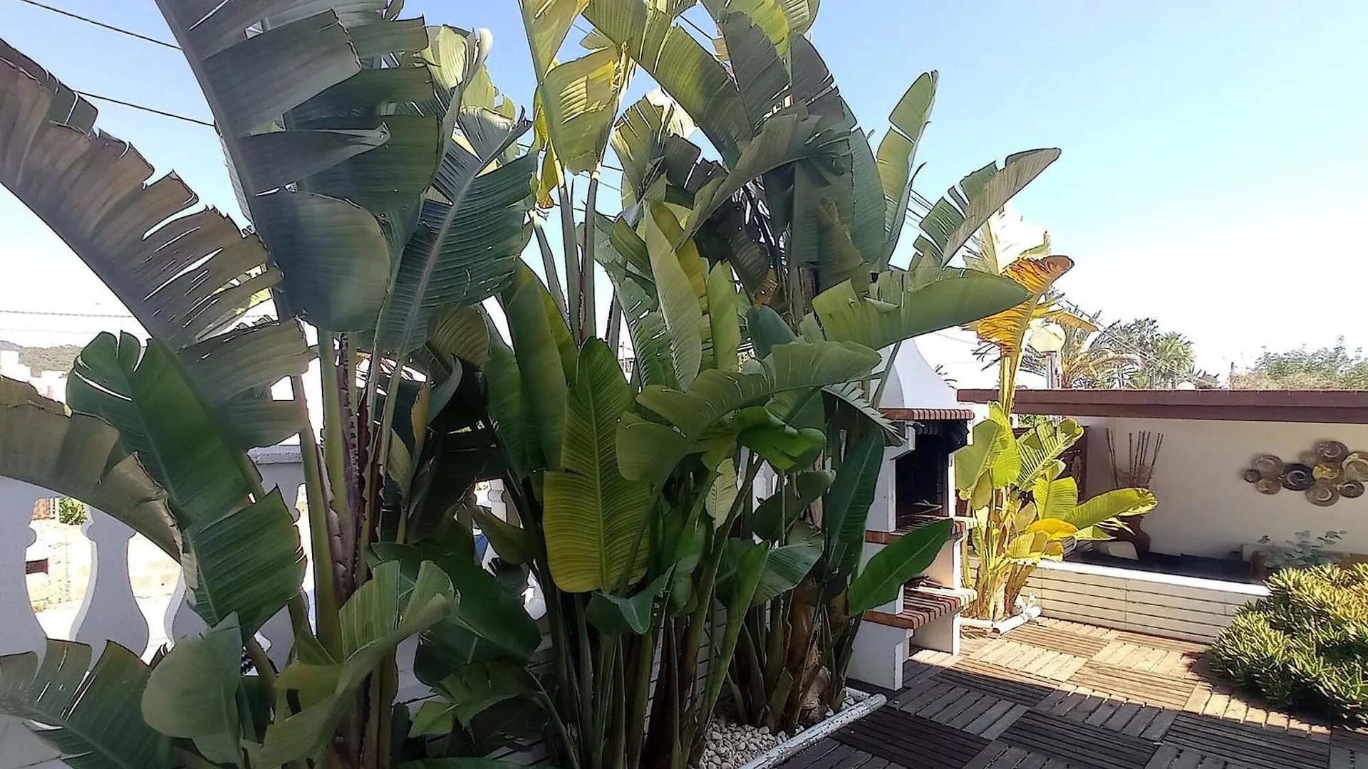 Villa Juncos Can Furnet